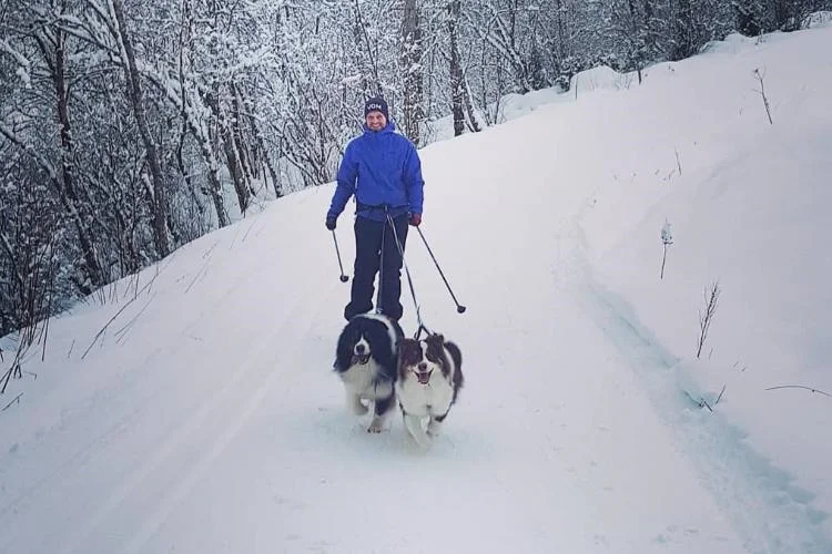 An Overview of Different Types of Skiing: Skijoring