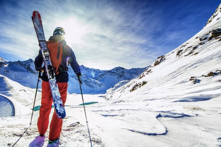 Top 6 Best Product Review for Ski Carrier Straps In 2023