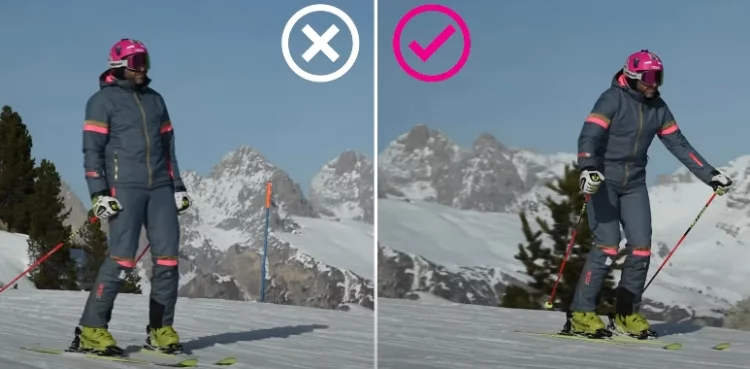 The Head and Upper Body