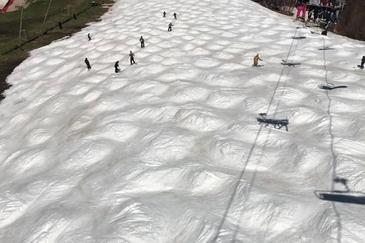 What is mogul skiing?