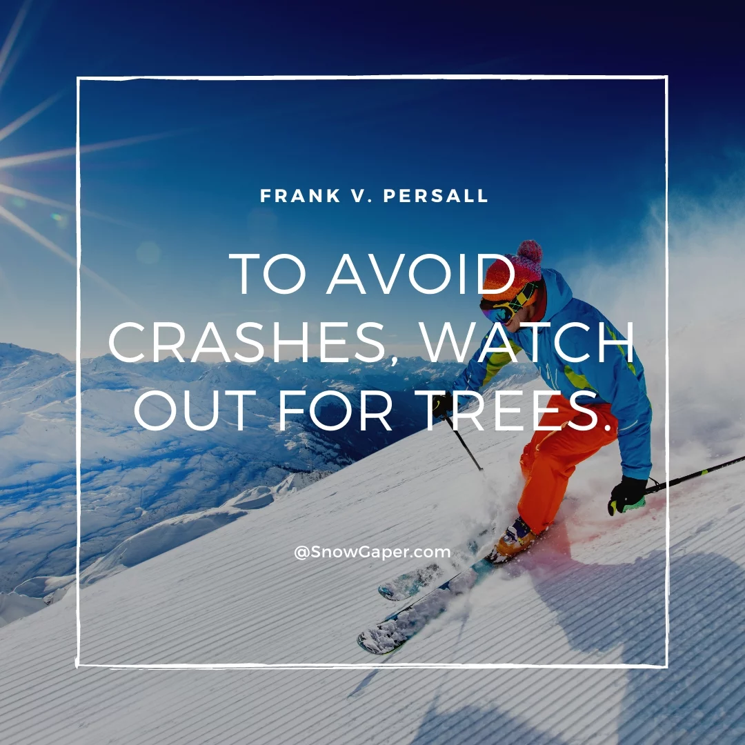 To avoid crashes, watch out for trees.